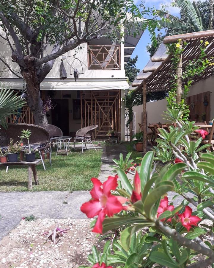 Casa Eolica Hotel Barra Grande  Exterior foto